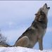 Zachary Breen - Facebook