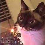 Zachary Coe - @zachary.coe.75 - Instagram