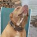 Zachary Combs - Facebook