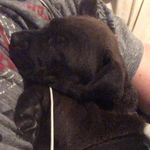 zachdeakinprivate - @zachary.deakin2018 - Instagram