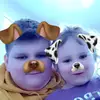 Zachary Dotson - @bibleverses00 - TikTok