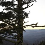 Zachary Ebert - @zcephotos - Instagram