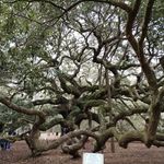 Zachary Ebert - @zachary_ebert1 - Instagram