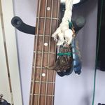Zachary Eldridge - @zatchdragon - Instagram