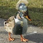 Zachary harbin - @sirquackers19 - Instagram
