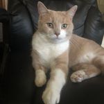 zachary  key - @zac_key - Instagram