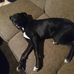 Zack Keyes - Facebook