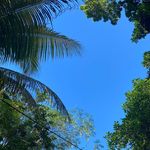 Zachary Laing - @laing_zachary - Instagram