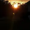Zachary Lear623 - @mrgamerguy20004 - TikTok