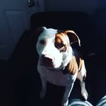 Zacharylearned - @zacharylearned9 - Instagram