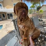 Zachary Mattern - Facebook