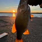 Zack Mattern - Facebook