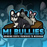 Zachary McCarty - @mibullies - Instagram