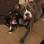 Zachary Meyer - @zacharyscott182 - Instagram