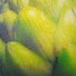 Zachary G Molnar - @zachbook10 - Instagram