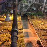 Zachary Moon - @grown_from_home - Instagram