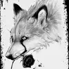 Zachary Moon - @zachary.moon1 - TikTok