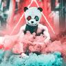 Zachary Pate - @supremezach - TikTok