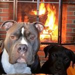 Zachary Perrine - @zachary.perrine.1 - Instagram