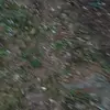 Zachary Quick - @zacharyquick - TikTok