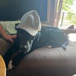 Zachary John Ring - @ring.zachary - Instagram