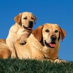 zacharysamples - @zsamples09 - Instagram