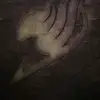 zachary silva - @zjs096 - TikTok