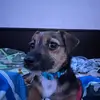 zacharysilva423 - @zacharysilva423 - TikTok