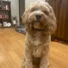 Hello There - @zacharysmall47 - TikTok