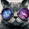 zacharysmall807 - @zacharysmall807 - TikTok