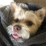 Zachary Smith - @zacharywsmit - Instagram