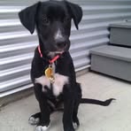 Zack Stackhouse - Facebook