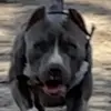 Zachary Charleston - @zachary.charlesto - TikTok