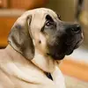 zacharyusher338 - @zacharyusher338 - TikTok
