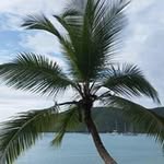 Zachary Weldon - @hadji_killer - Instagram
