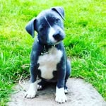 Zack Mackinnon Jones - @zacky_boi_7 - Instagram