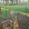 zackthompson - @zack_thompson1 - TikTok