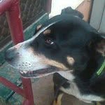 Zackary Smith - @zack1800 - Instagram