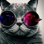 Zackary Smith - @zapataa515 - Instagram