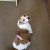 Zackary Smith - @zackary.smith21 - TikTok