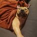 Zackery Brown - Facebook