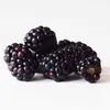 zachery robinson - @blackberries49 - TikTok