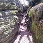 Zackery White - @zackery.white - Instagram