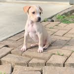 Zada jackson - @lonely111290 - Instagram
