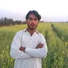 Zafar Ali Bhatti535 - @zafaralibhatti535 - TikTok