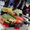 Zafar Jan - @zafar.jan88 - TikTok