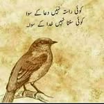 zahida dar - @zahida6385 - Instagram