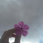 Zahra Khalid - Facebook