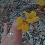 Zailee Williams - @zailee_foto - Instagram