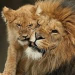 Zaid Ramirez - @zaid2749 - Instagram